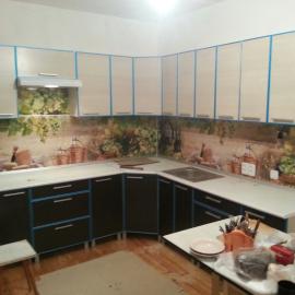Кухня Элпис и стеновая панель